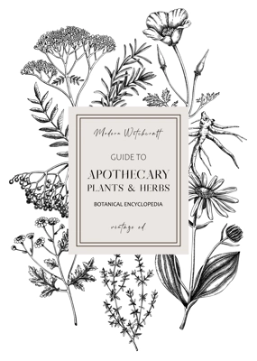 Apothecary plant frame design. Witchcraft book cover. Herbal remedies, medicinal plant, natural medicine hand-drawn vector illustration. Vinatge herbs background. NOT AI genereted